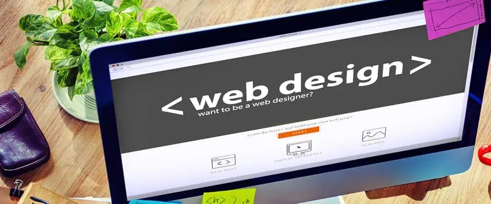 Master En Diseño Web